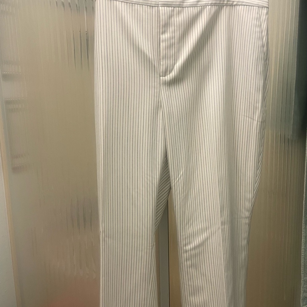 NWT Ralph Lauren Pinstripe Pants 18W - Picture 2 of 13